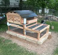 Backyard Chicken Coop Model 2