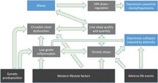 Staying active helps to reduce your risk of conditions like heart disease, diabetes, and stroke. Bipolar Disorder An Evolutionary Psychoneuroimmunological Approach Sciencedirect