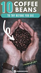 Best Coffee Beans In The World And A Foolproof Tip For Choosing Coffee Beans Best Coffee Beans