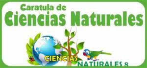 Hemos traído para todos ustedes estudiantes de todos los colegios del mundo la mejor colección de caratulas de ciencias naturales fáciles con imágenes para usarlos en cuadernos, imprimir o usarlo en tareas de word si así lo necesitan. Dibujos Para Caratulas De Ciencias Naturales Faciles Dibujos De Ciencias Naturales Para Colorear Imagui Caratulas Caratula De Ciencias Sociales Tamano Carta 2
