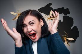 Here's Why Michiganders Shouldn't Kill Crane Flies in the Spring