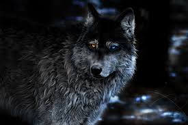 Find the perfect wolf picture from over 2,000 of the best wolf images. Desktop Wallpapers Wolves Animal Painting Art