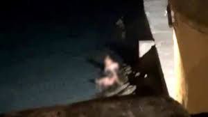 Sesso in spiaggia a Gallipoli: due coppie fanno sesso sotto gli occhi dei  passanti