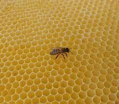 Esse sono delle stanzette dove le api mettono le uova che depone la regina e dove depositano anche il miele ed il polline. La Geometria Dell Alveare Vitamina Bee Miele E Dintorni