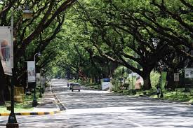 University of the philippines is one of the top public universities in quezon city, philippines. Is It Hard To Get Into Up Diliman Quora