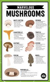 Whole Foods Market On Twitter Food Facts Stuffed Mushrooms Cooking