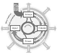 Preluat din demografie, termenul de ciclu de viaţă al produsului desemnează intervalul de timp cuprins între momentul apariţiei şi cel al dispariţiei în literatura de specialitate apar mici diferenţe în privinţa numărului şi a denumirii etapelor ciclului de viaţă al produsului. Ciclul De ViaÈ›Äƒ Al Produselor HotÄƒrare 870 2013 Lege5 Ro