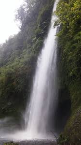 Cascadas de Tocoihue (Dalcahue) - 2020 Qué saber antes de ir - Lo más  comentado por la gente - Tripadvisor