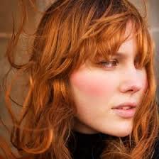 Ryan Bui (buivantienhpu)