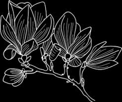 See more of fiori secchi on facebook. Composizioni Floreali Con Fiori Secchi Mg Decoration By Maya Gruber