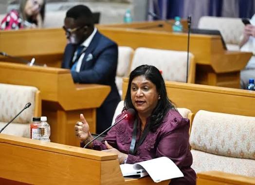 MPs will have to establish the veracity of Mkhwanazi's claims in the light of Johnson's testimony