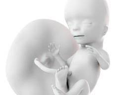 11 Weeks Pregnant Symptoms Baby Development And Hormones