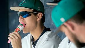 Siegel baseball 2, Rhea Co. 1