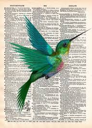 Hummingbird Art Print Bird Art Cute Humming Bird Drawing Vintage Dictionary Print Naturmont Kus Cizimleri Tuval Sanati Ve Cocuklar Icin Sanat