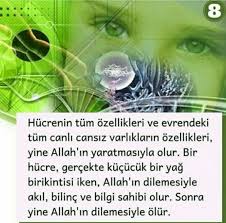 Seyhmus Tas Adli Kullanicinin Iman Hakikatleri Panosundaki Pin 2020 Gercekler Bilgi Evren