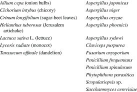 Image result for Asparagus aspergillus