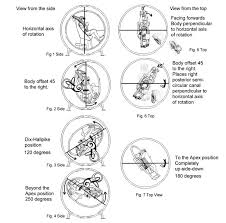 Image result for Canalith Repositioning Procedure