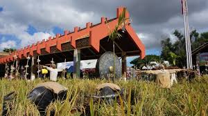 I want to wish selamat hari kaamatan and selamat. Top 11 Things To Do At Sabah S Harvest Festival