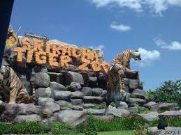 D asia travels sdn bhd. Half Day Tour Pattaya Sriracha Tiger Zoo Tour D Asia Travels Asia Travel Holiday Tours Day Tours