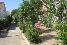 Location Maison Port Leucate 4 Personnes Des 350 Euros Par Semaine Avec Papvacances Fr Leucate Port Leucate Location Maison