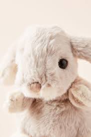 Baby Bunny Stuffed Animal Anthropologie Bunny Stuffed Animals Baby Bunnies Cute Stuffed Animals