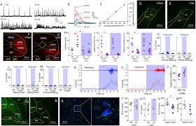 A) identify the individuals who are subject matter experts, who would be able to think of risks associated with the project. Integrated Control Of Predatory Hunting By The Central Nucleus Of The Amygdala Cell