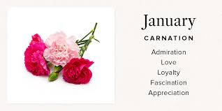 We did not find results for: Your Birth Month Flower And What It Means Bouqs Blog