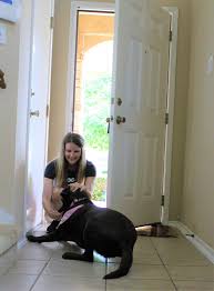 Maybe you would like to learn more about one of these? Pet Sitting Pup Pup And Away Sa