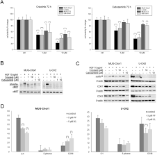 Approximately 300 people in the united states are diagnosed with chordoma each. Higher Cmet Dependence Of Sacral Compared To Clival Chordoma Cells Contributing To A Better Understanding Of Cmet In Chordoma Scientific Reports
