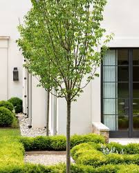 Sensitivity to scale, simplicity of form, and attention to detail characterize the quality of their nationally recognized work. Anne Decker Architects On Instagram Garden Vignette Project Info Mcleanhouse Annedecker Annedeckerarc Garden Vignettes Landscape Architect Architect