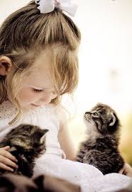 Carpe Diem Cats Animals Cute Cats