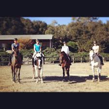 Discover unique shopping in beautiful morro bay. Horse Boarding In Morro Bay California San Luis Obispo County