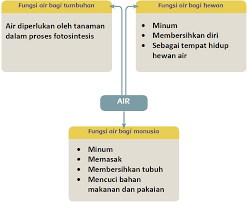 Download soal tema 8 kelas 5 sd mi tentang lingkungan sahabat kita dan kunci jawaban kurikulum 2013 revisi. Kunci Jawaban Halaman 1 3 4 5 6 Tema 8 Kelas 5 Di 2021 Peta Pikiran Fotosintesis Belajar