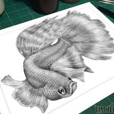 Betta Fish Drawing By Tim Jeffs Instagram Beta Fish Drawing Fish Drawings Fish Sketch