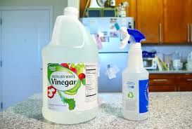 Maybe you would like to learn more about one of these? How To Unclog Your Kitchen Sink With Things You Already Have Around The House Cnet