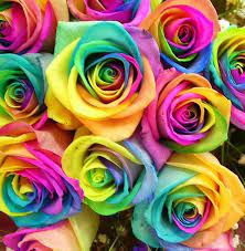 See more ideas about rainbow colors, rainbow, taste the rainbow. Buy Rainbow Roses Handmadeblossom Rainbow Roses Rainbow Flowers Beautiful Flowers Wallpapers