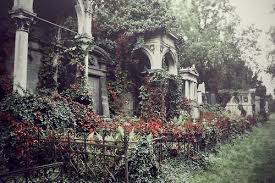 Vodkatze Central Graveyard Vienna Disney Beauty And The Beast Cemeteries Fairy Tales