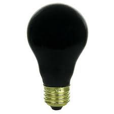 Sunlite Incandescent 75 Watt A19 Black Light Ceramic 1250 Lumens Light Bulb 741812170672 Ebay