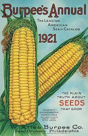 Burpee 1921 Front Cover Vintage Seed Packets Seed Catalogs Seeds