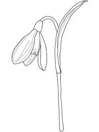 Snowdrop Coloring Page Free Printable Coloring Pages Free Printable Coloring Pages Coloring Pages Free Printable Coloring