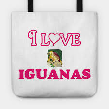 I Love Iguanas