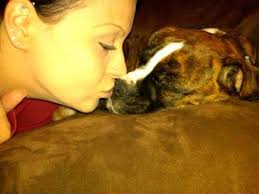 Loss of a Beloved Pet Due to Cancer