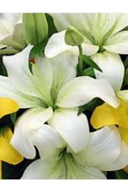 Lance W. Freund Obituary in Pittsburgh at John F. Slater Funeral Home, Inc.