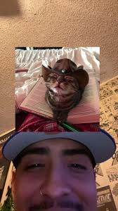 Gatito Mojado Sticker