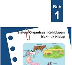 Materi ipa kelas 7 smp/mts kurikulum 2013 (k13) edisi revisi 2016 terbagi dalam 12 (dua belas) bab dengan rincian sebagai berikut. Materi Ipa Smp Mts Kelas 7 Semester Genap Kurikulum 2013 Didno76 Com