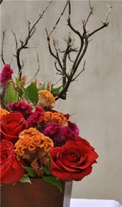 Places los angeles, california farm mellano & company. Halloween Flowers Succulents Wholesale