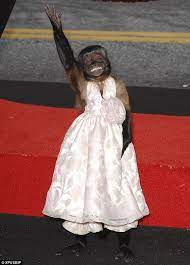 Thanks to the unleashing of an ancient egyptian curse, the museum's animals, birds, bugs and other exhibits spring to life after the building closes, and former president teddy roosevelt (robin williams) is. Crystal The Monkey Night At The Museum Wiki Fandom