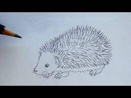Zeichnen lernen mit bleistift selbst kunst schaffen. Zeichnen Lernen Igel Zeichnen Einfache Anleitung Tiere Mit Bleistift Zeichnen Diy Youtube