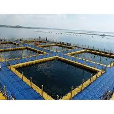 Jual Keramba Jaring Apung Plastik Hdpe