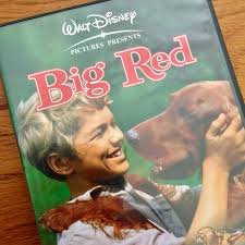Disney plus (stylized as disney+) is finally here and it is overwhelmingly full of content. Disney Big Red Irish Setter Movie Disney Pictures Red Book Cover